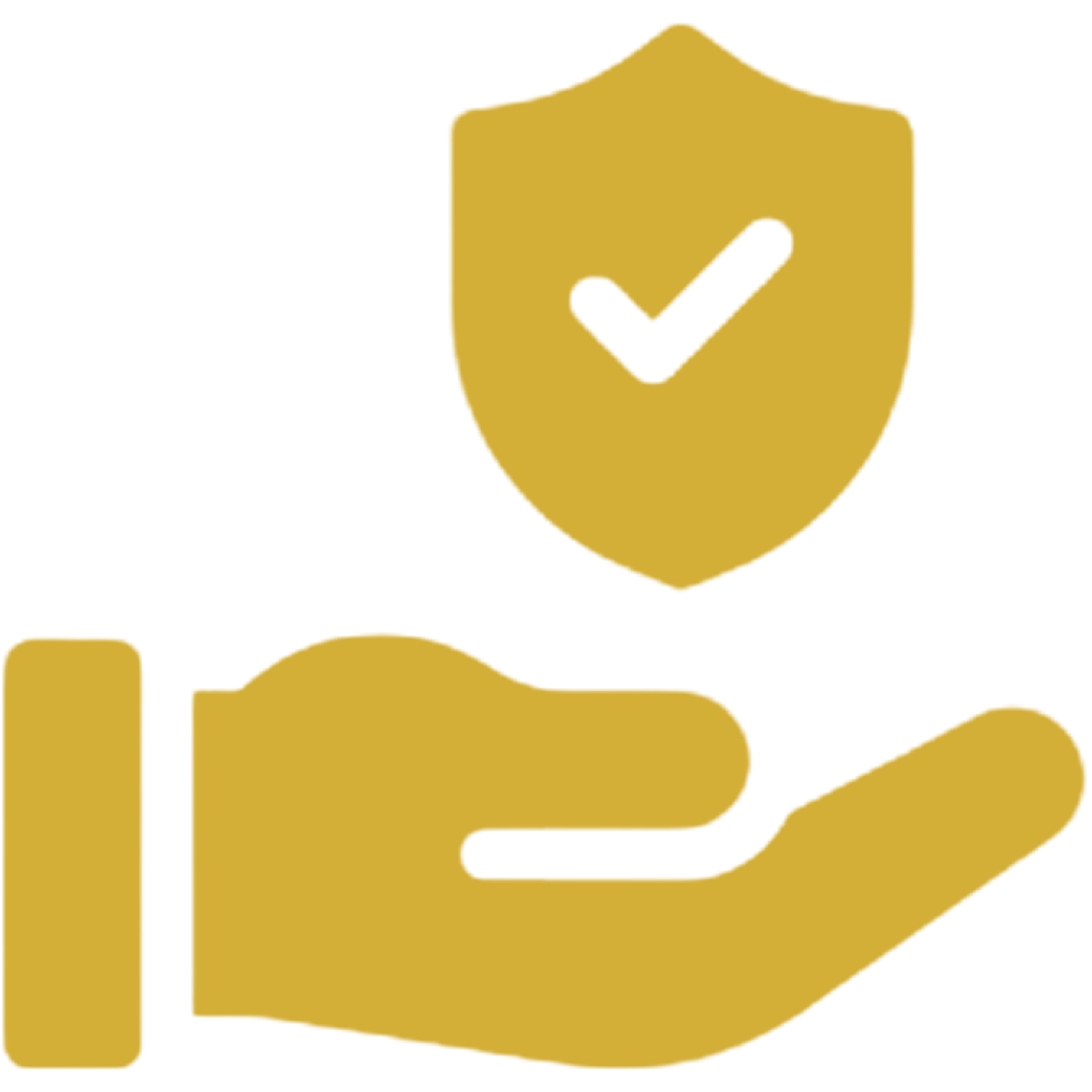 Hand holding shield with checkmark