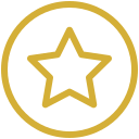 Gold star outline inside gold circle